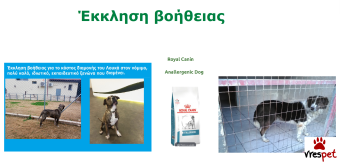 Ράτσα: Άλλη Ράτσα | Ηλικία: 3 ετών | Φύλο: Θηλυκό | Αρ. Microchip: 981022212121212 | Περιοχή: Αττική